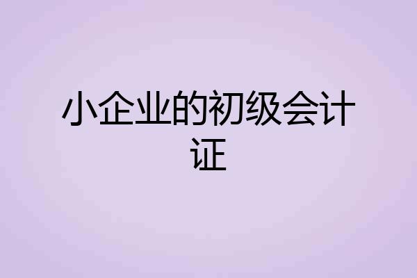 小企业的初级会计证