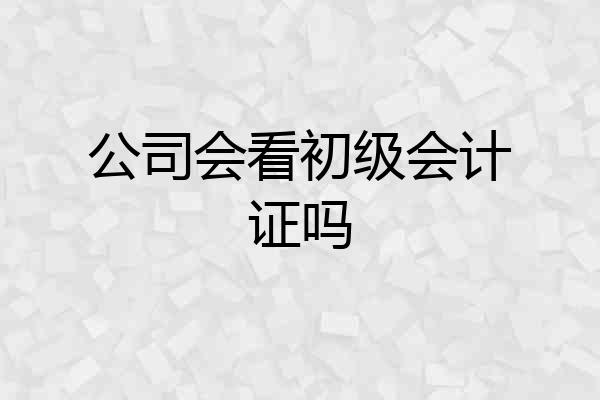 公司会看初级会计证吗