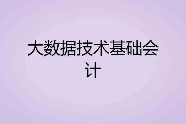 大数据技术基础会计