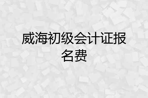 威海初级会计证报名费