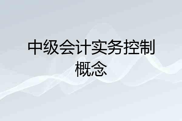 中级会计实务控制概念