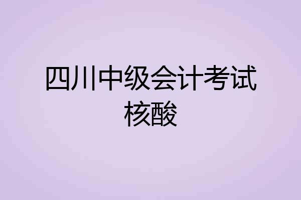 四川中级会计考试核酸
