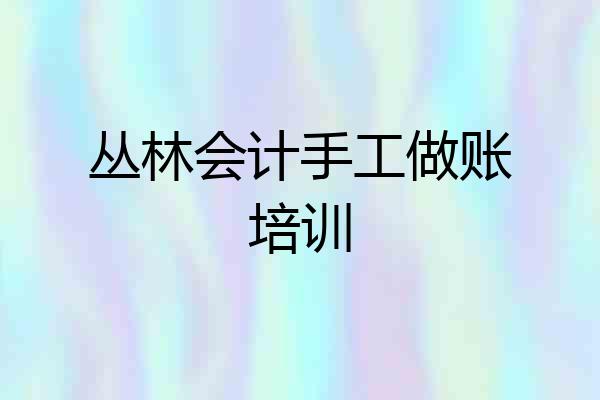 丛林会计手工做账培训