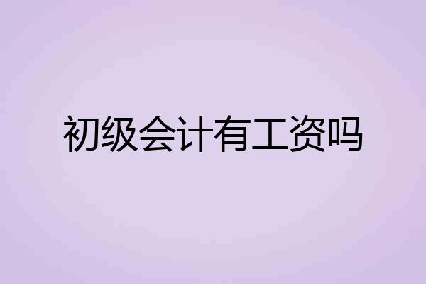 初级会计有工资吗