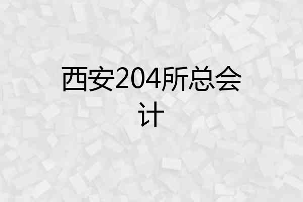 西安204所总会计