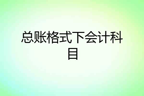 总账格式下会计科目