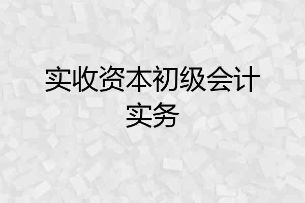实收资本初级会计实务