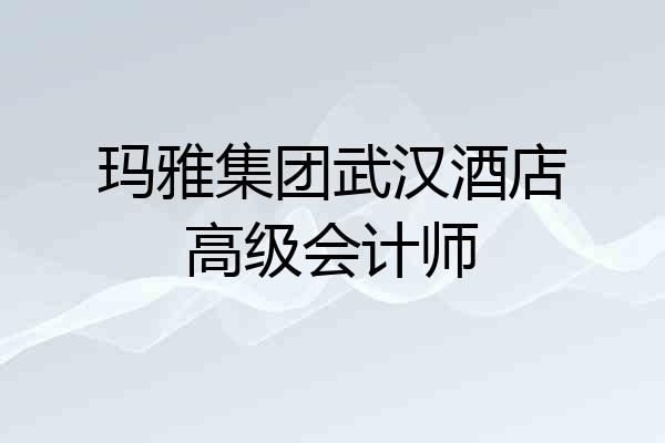 玛雅集团武汉酒店高级会计师
