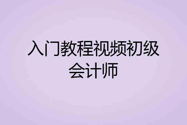 入门教程视频初级会计师