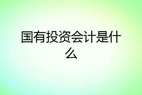 国有投资会计是什么