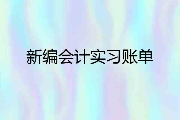 新编会计实习账单
