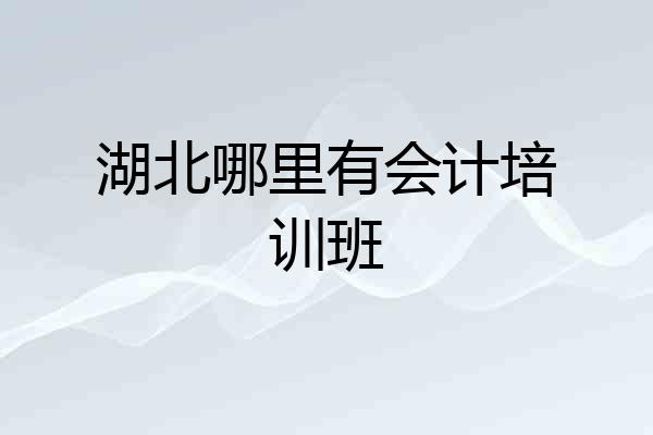 湖北哪里有会计培训班