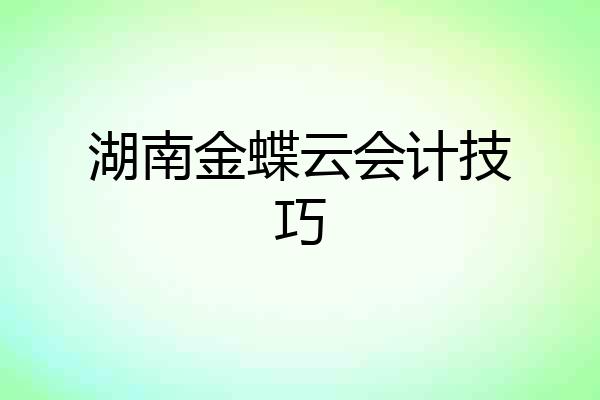 湖南金蝶云会计技巧