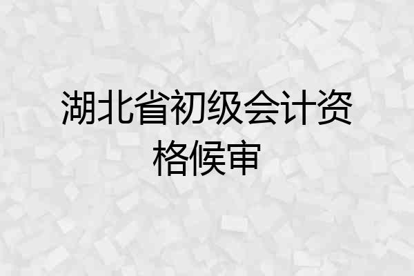 湖北省初级会计资格候审
