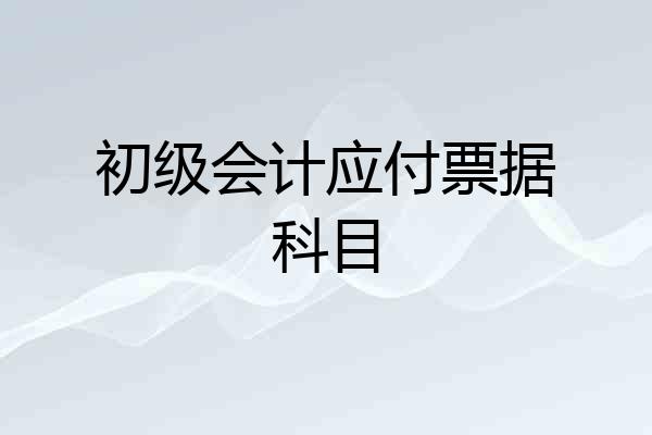初级会计应付票据科目