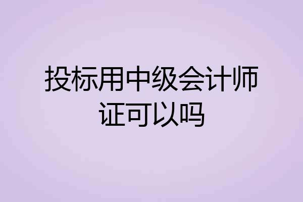 投标用中级会计师证可以吗