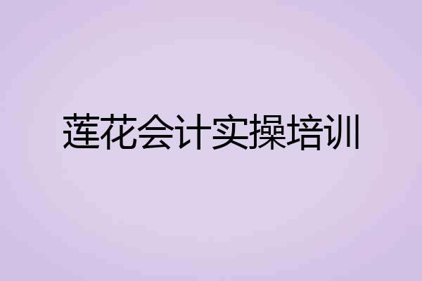 莲花会计实操培训