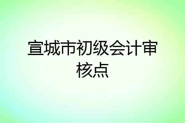 宣城市初级会计审核点