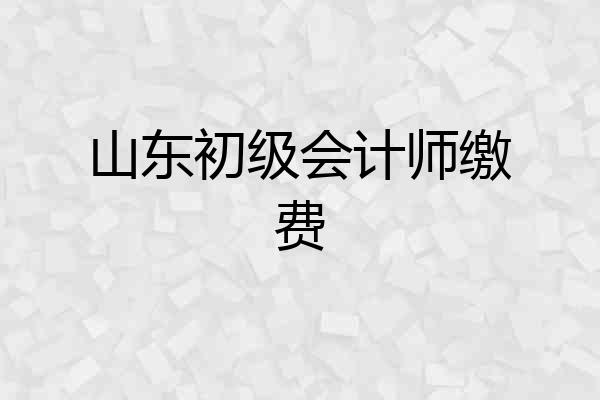 山东初级会计师缴费
