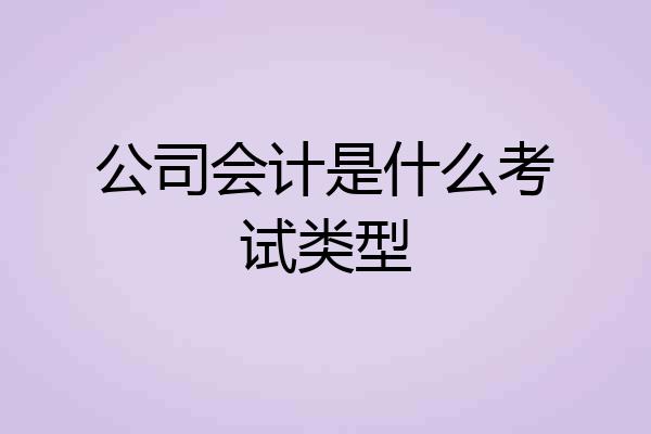 公司会计是什么考试类型