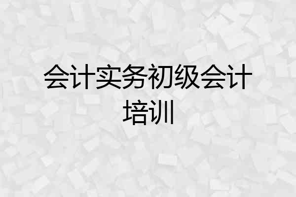 会计实务初级会计培训