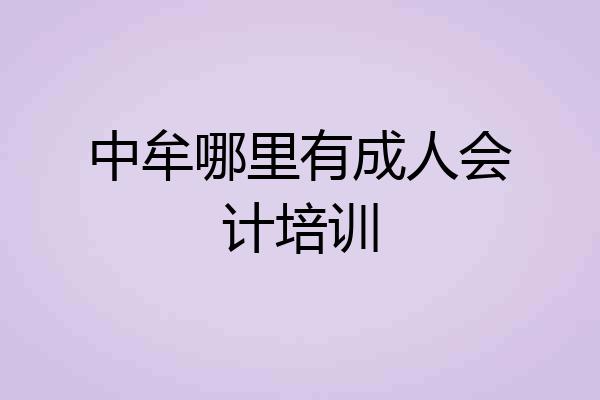 中牟哪里有成人会计培训
