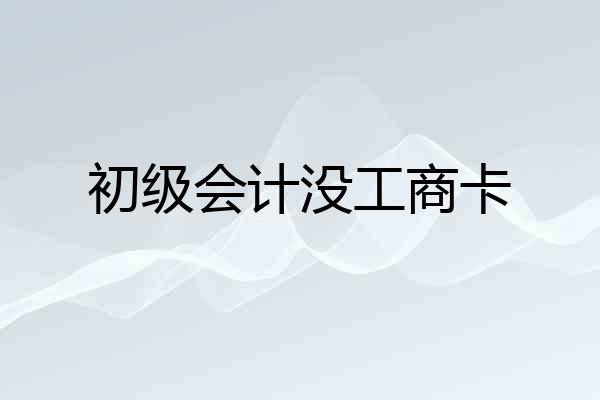 初级会计没工商卡