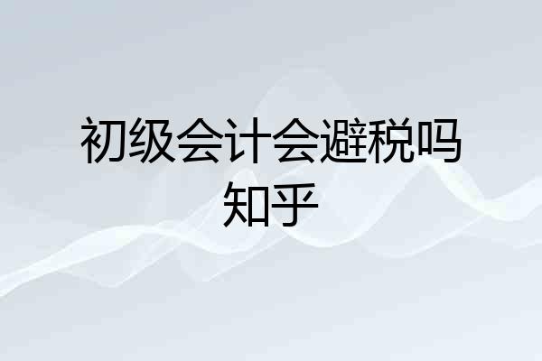 初级会计会避税吗知乎