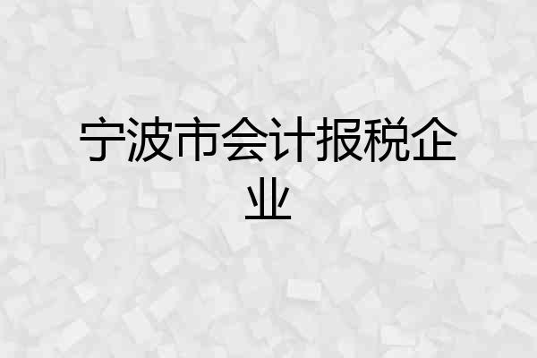 宁波市会计报税企业