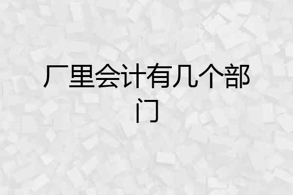 厂里会计有几个部门