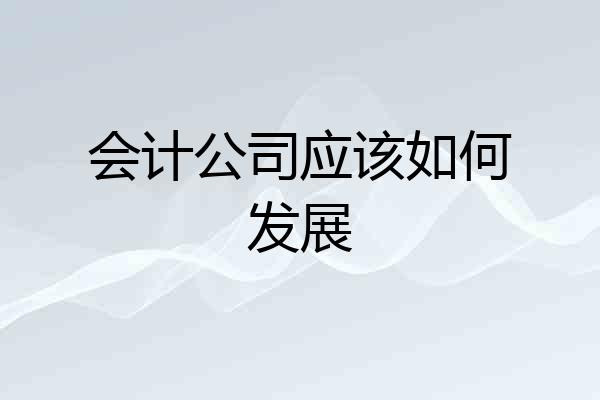 会计公司应该如何发展