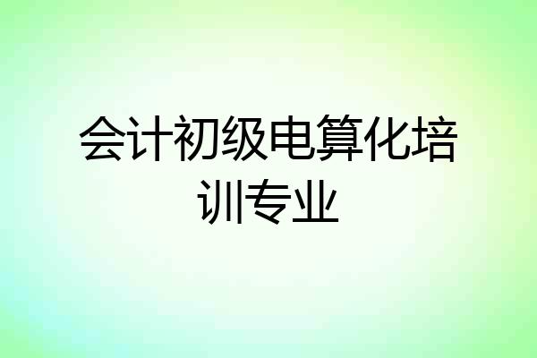 会计初级电算化培训专业