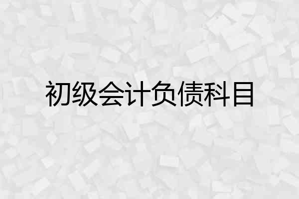 初级会计负债科目