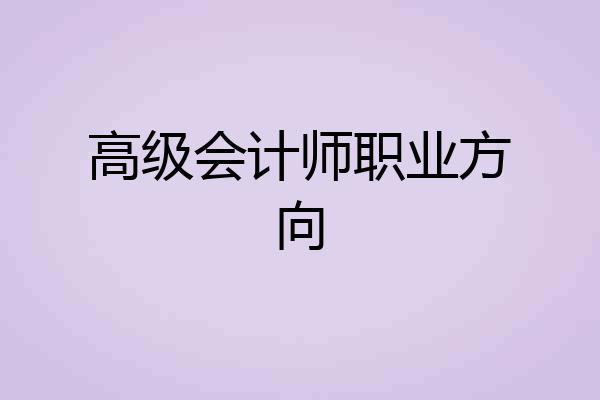 高级会计师职业方向