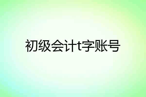 初级会计t字账号