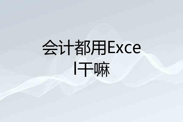 会计都用Excel干嘛