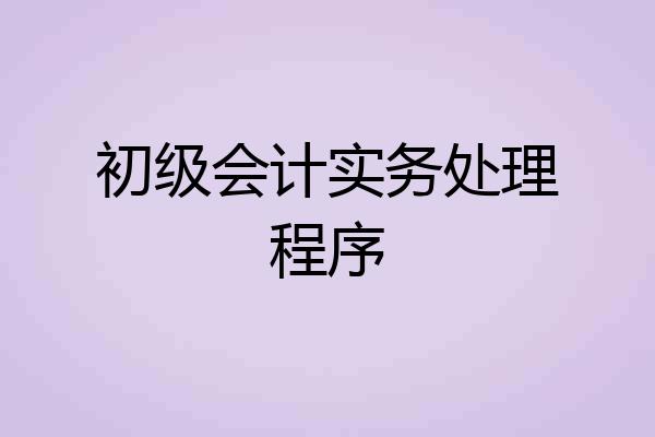 初级会计实务处理程序