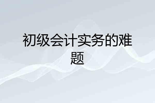 初级会计实务的难题