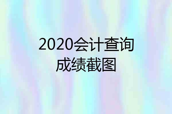 2020会计查询成绩截图