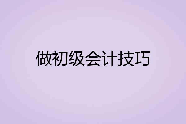 做初级会计技巧