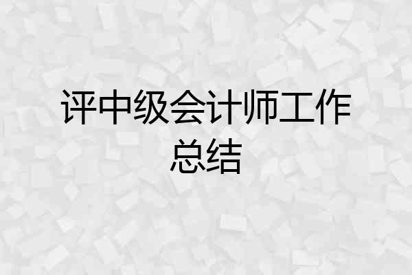 评中级会计师工作总结