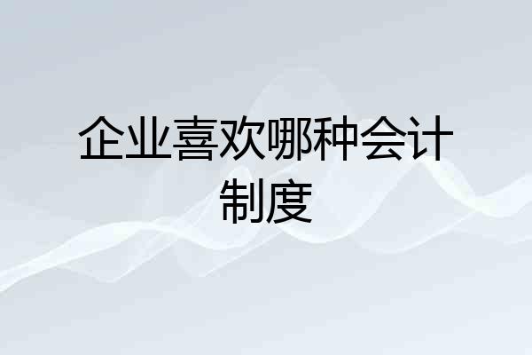 企业喜欢哪种会计制度
