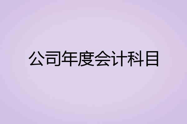公司年度会计科目