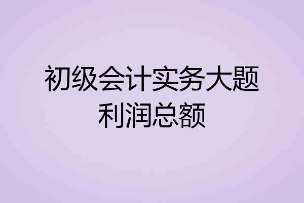 初级会计实务大题利润总额