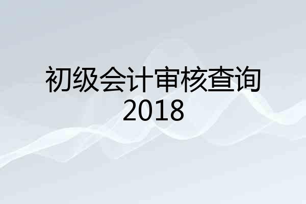 初级会计审核查询2018