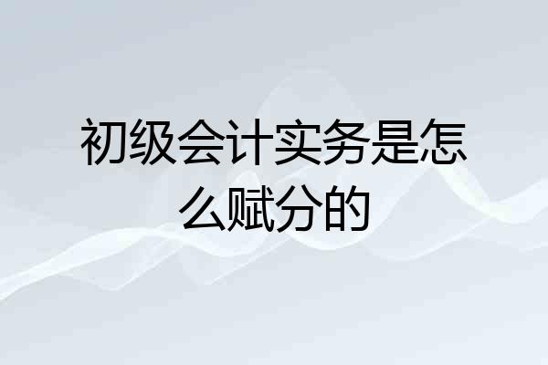 初级会计实务是怎么赋分的