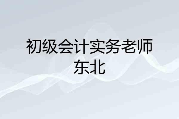 初级会计实务老师东北