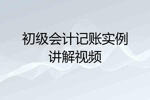 初级会计记账实例讲解视频