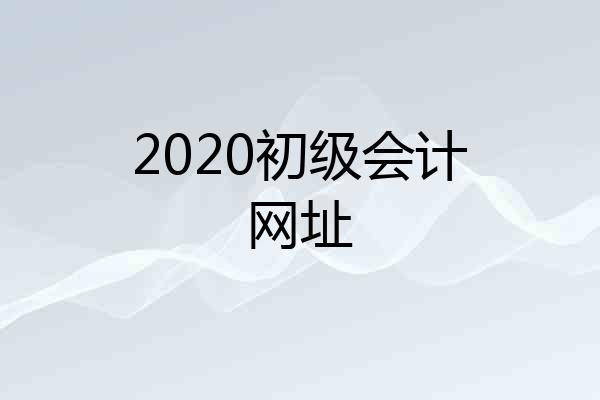 2020初级会计网址