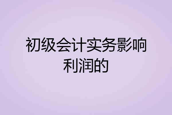 初级会计实务影响利润的